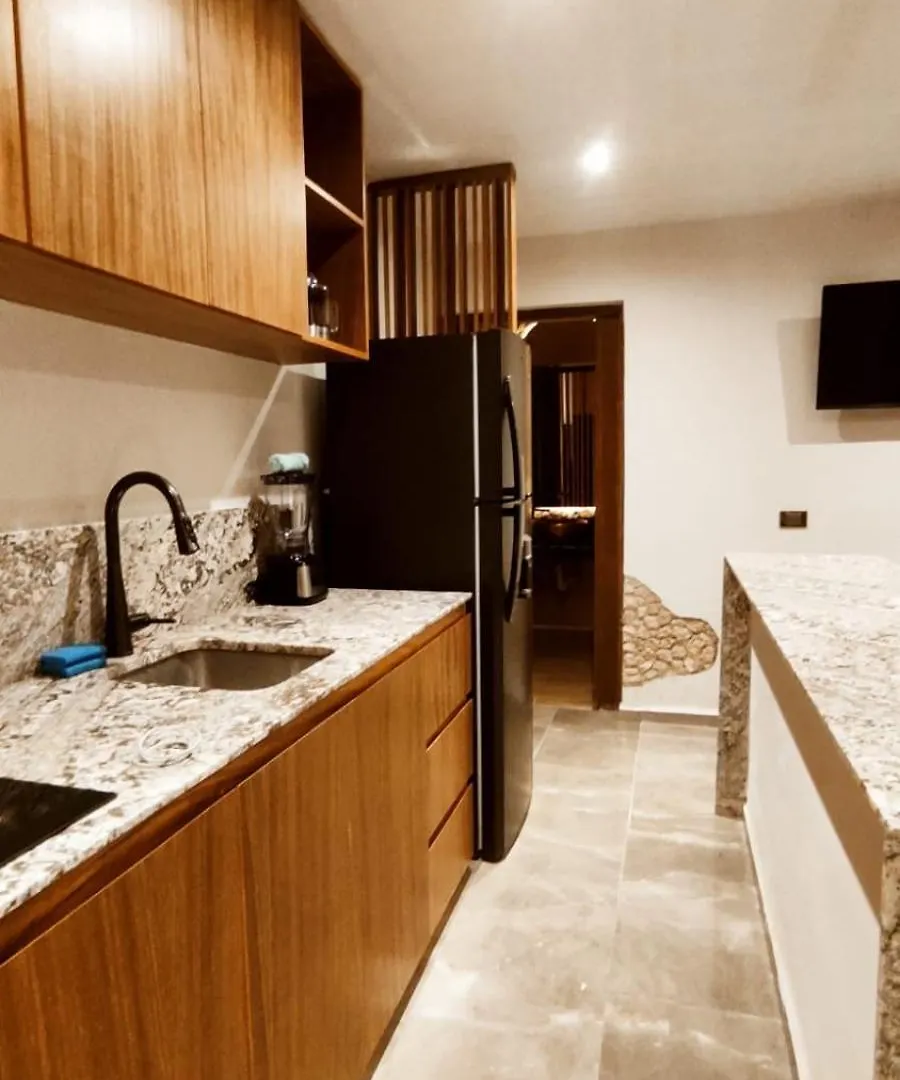 Loft T'Ho Apartment Merida 0*,